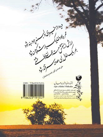 شـعر همـدم یک غـزل از دفتر یکصد غـزل